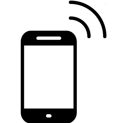 Gate Access Icon